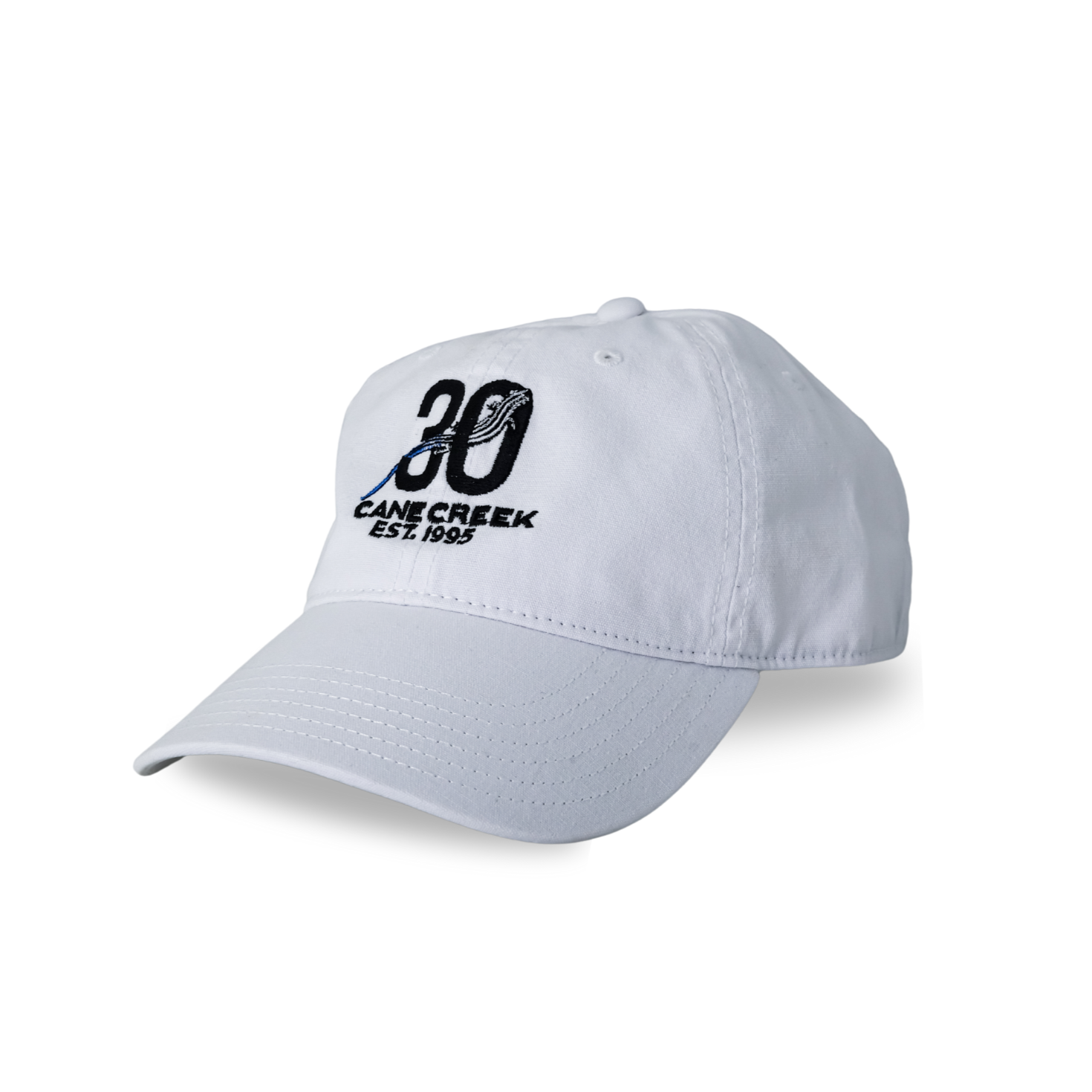 30th Anniversary Baseball Cap