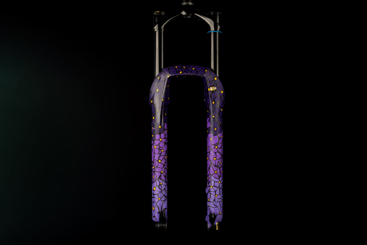 Helm MKII Artist Series - New York Aster