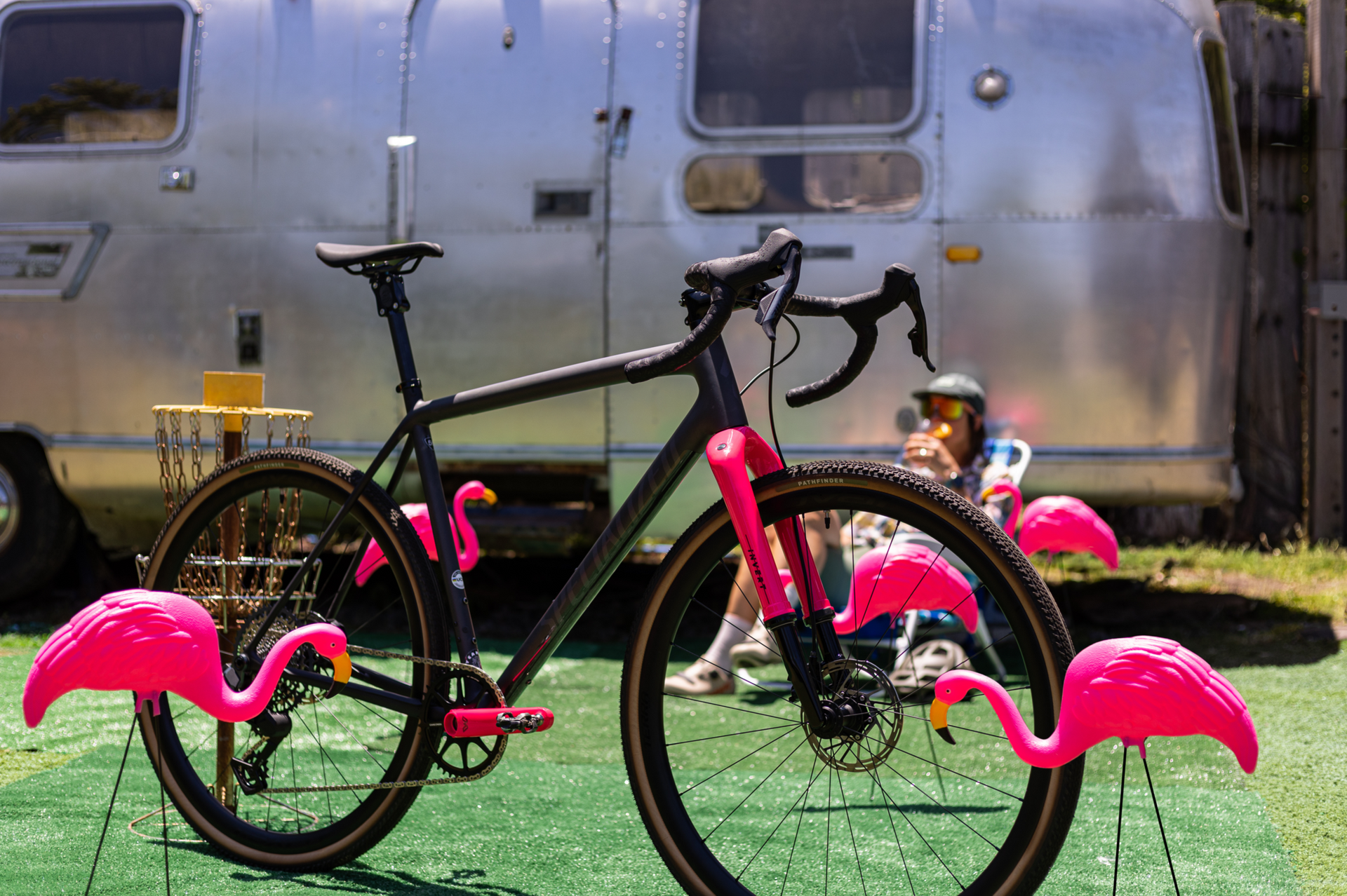 You voted. You chose. Meet Flamingo