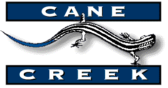 Skink Logo
