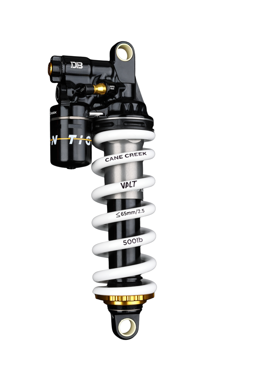 コイキング コイキング(マスターボール柄/ミラー仕様) C 129/165の通販