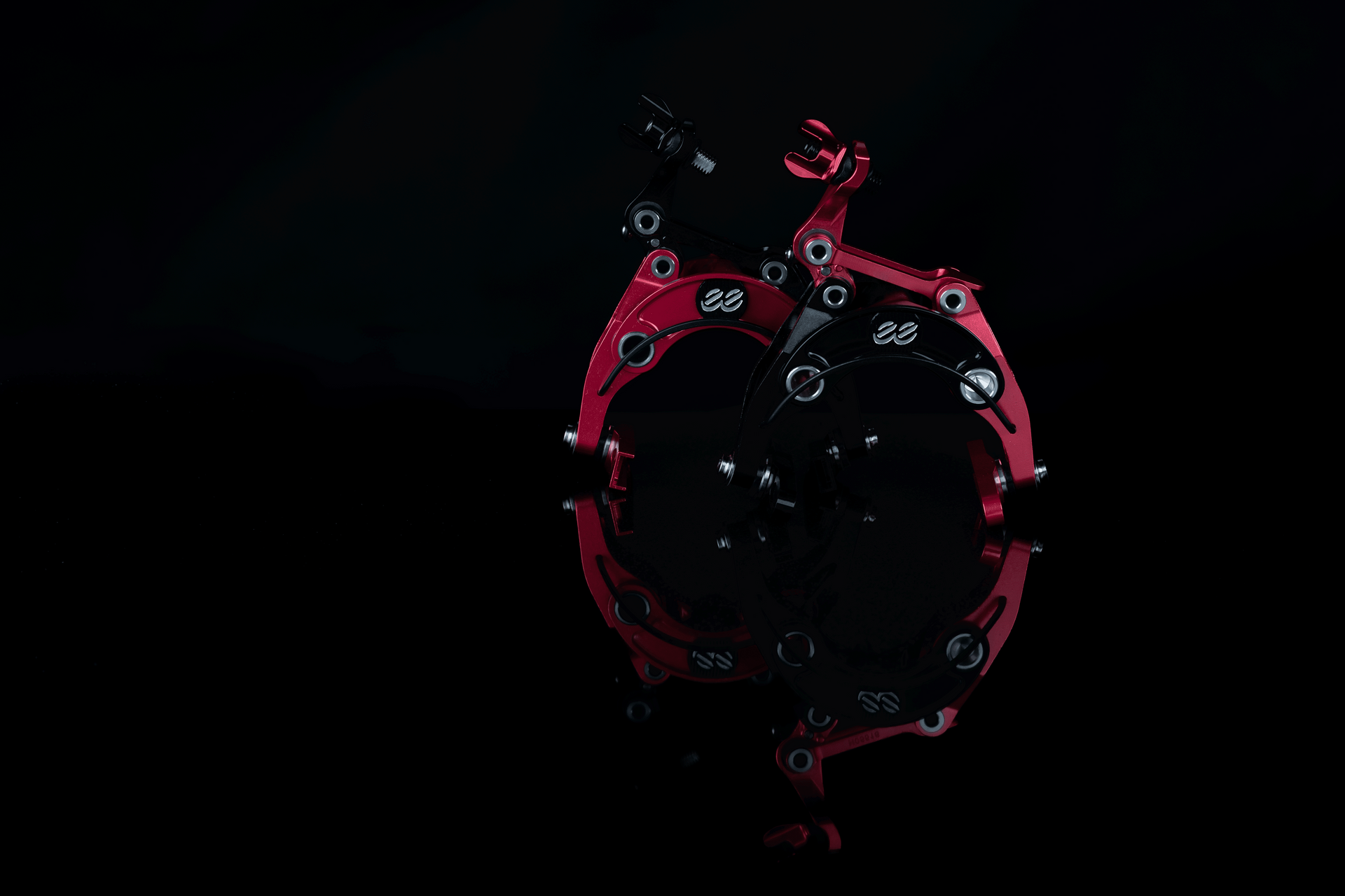 Limited Edition: Mirror Image eeBrakes