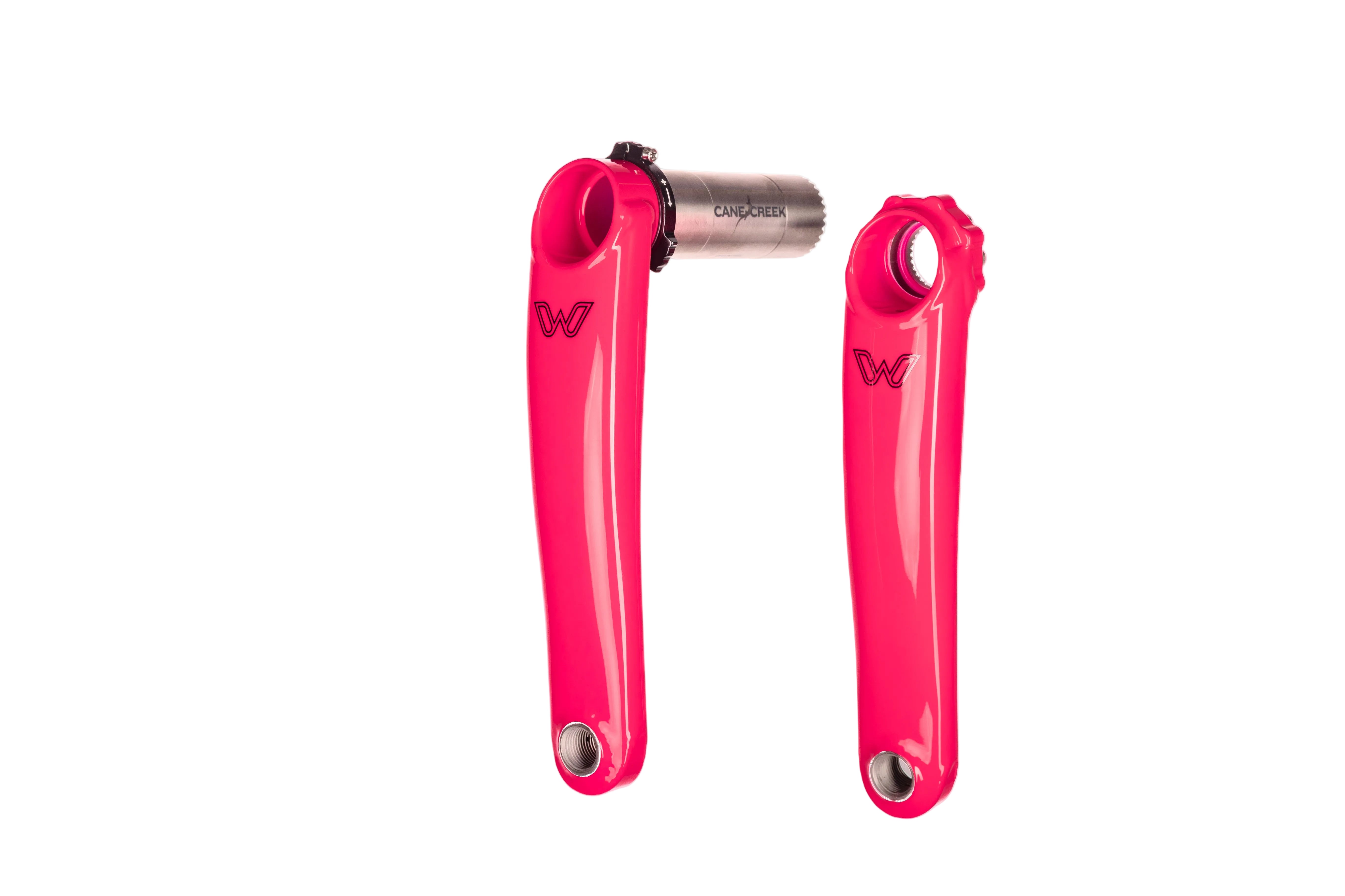 Limited Edition: Flamingo